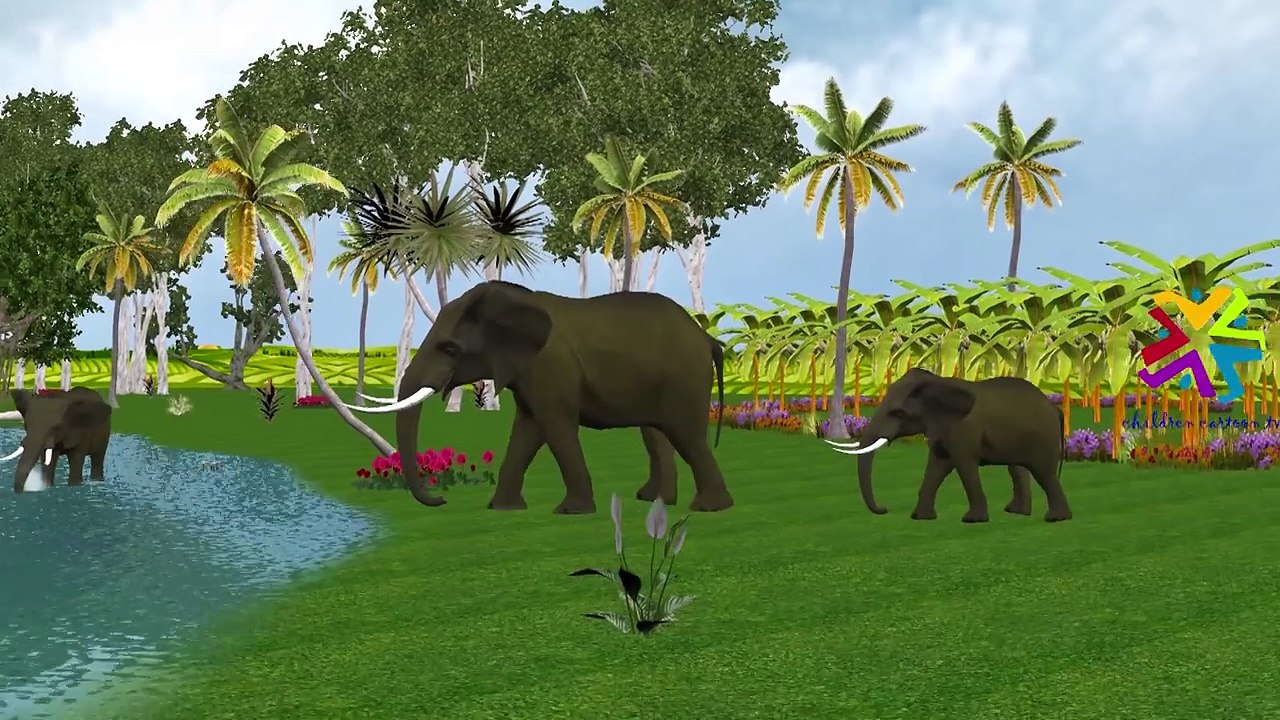 Tiger Lion Finger Family Rhymes For Children | Elephant Cartoon Finger Family Nursery Rhymes
