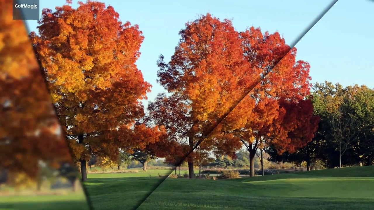 Golf Instruction Tips #5: How to get out of the bunker