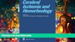 Read Online Cerebral Ischemia and Hemorheology  Full Book