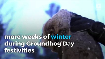 Groundhog Day 2017: Did Punxsutawney Phil see his shadow?