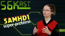 56Kast #95 – Raconte-moi ta thèse sur SAMHD1, super-protéine protectrice des cellules
