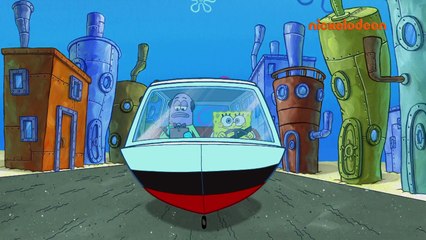 Bob l'éponge | Bob passe son permis | NICKELODEON