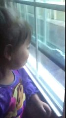 Lovely & Funny Baby Video - Cute Babies with the World through the Window (Lovely)