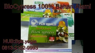 0813 2152-9993(bpk yogie),Obat Herbal Sehat, BioCypress Nias