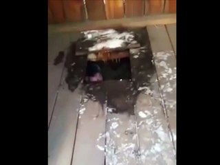 Провалился в туалет после ДТП 720