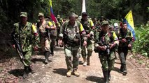 Los problemas logísticos que las FARC ven en zonas de desarme