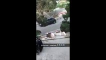 Une interpellation insolite à Marseille.