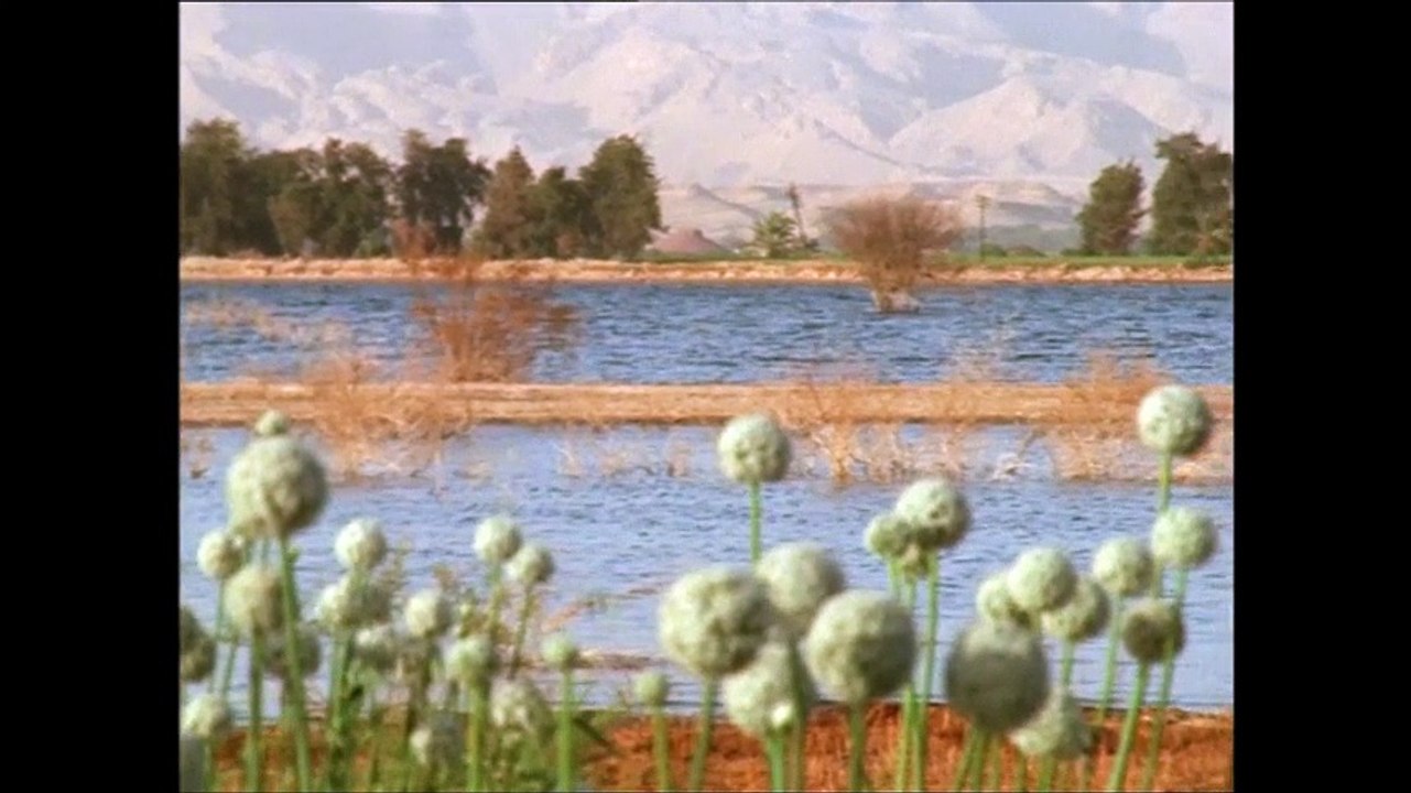 Die Wüste des englischen Patienten - Verschollen im Meer der Trockenheit