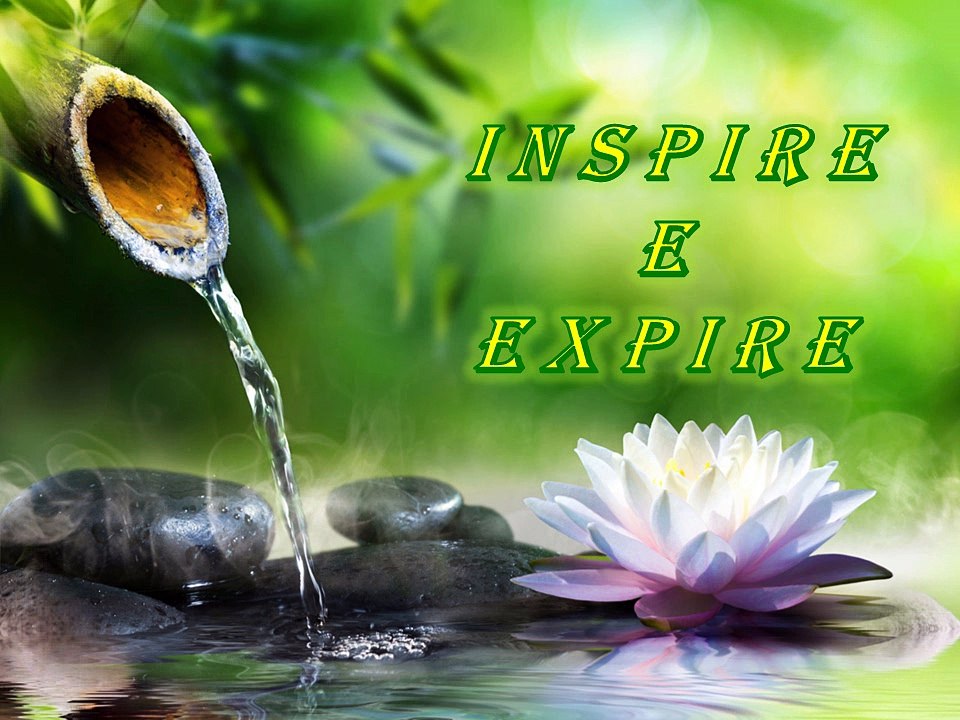 MEDITAÇÃO PARA ENERGIZAR OS CHAKRAS - 097 - LEILA MATUCK