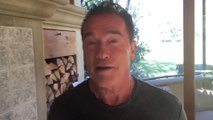 Le clash Trump / Schwarzenegger