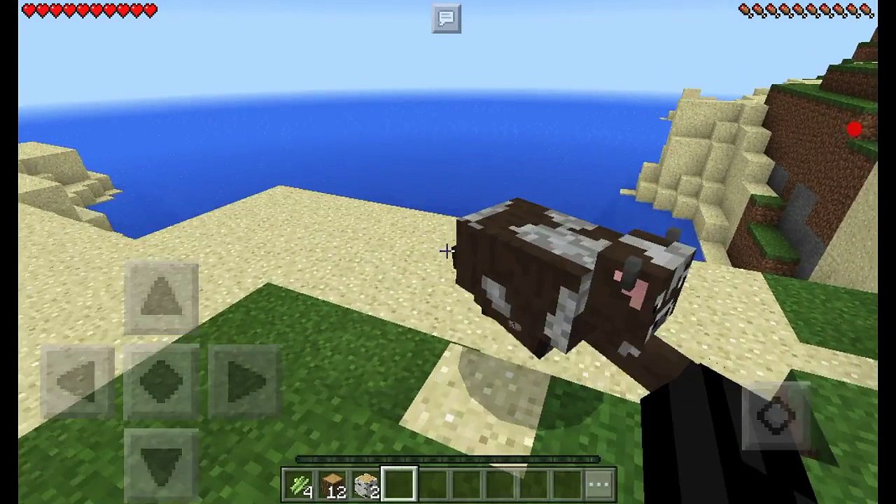 Minecraft with Austin yolo