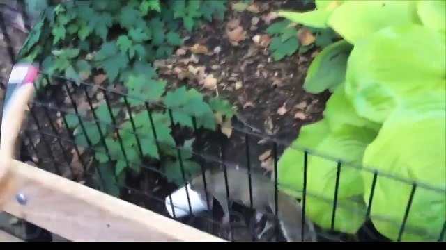 Видео приколы. Приколы 2015. Выпуск 3