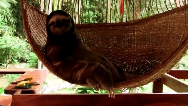 ЛУЧШИЕ ПРИКОЛЫ январь 2015 ПУКНУЛА РЖАЧ УГАР!