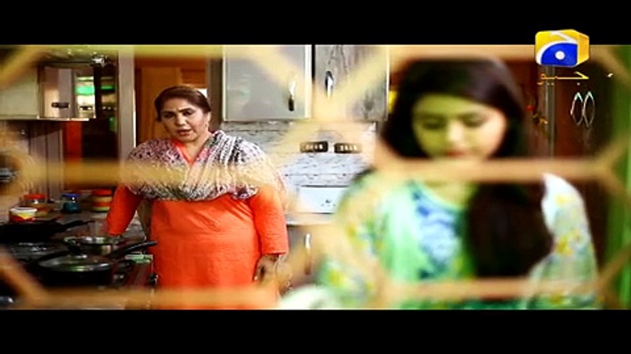 Bechari Mehrunnisa Episode 48