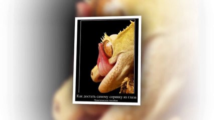 Смешные фото приколы #9