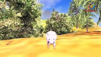 Cow ,Buffalo, Donkey Animals finger family nursery children rhymes