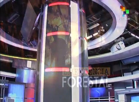 Chile: fortalecerán combate a incendios en Maule y O'Higgins