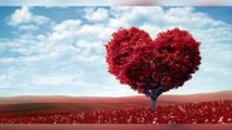 Concours St Valentin : la st Valentin approche... Envoyez nous vos messages d'amour!