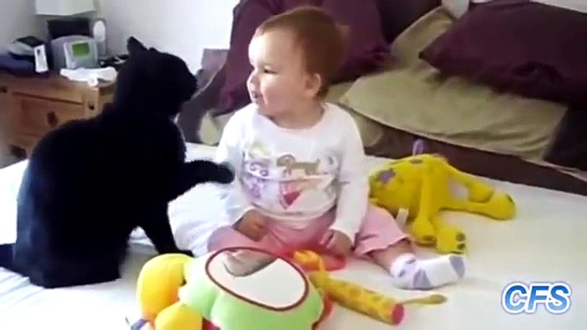 funny cats new , funny cats compilation, funny cats And Baby