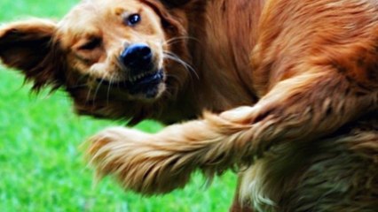 5 COISAS QUE VOCÊ SEMPRE QUIS SABER