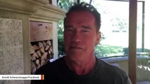 Arnold Schwarzenegger To Trump: 'Why Don't We Switch Jobs'