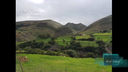 Oued Zitoun - Gouvernorat de Bizerte - Tunisie - Fin janvier 2017