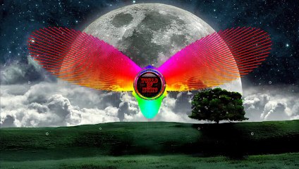 Kaskade - Disarm You (Sound Rush Remix)