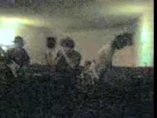 concert de dean moriarty a pau