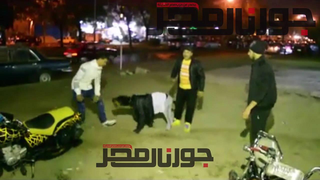 كلبة في زي بشر