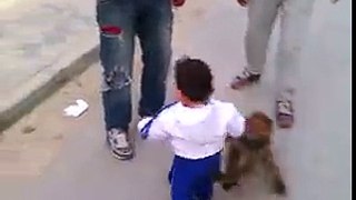 Monkey vs kid very funny video