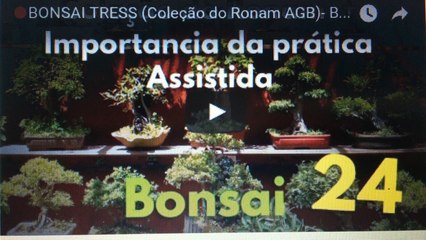 BONSAI TRESS (Coleçãode Bonsai do Ronam AGB)- BonsaiCurso #20