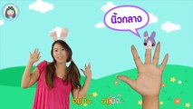 เพลงนิ้วโป้งอยู่ไหน | เพลงไทย เพลงเด็ก สำหรับเด็กเล็ก เด็กอนุบาล by Little Rabbit