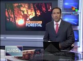 Incendios forestales en Chile dejan más de 6 mil damnificados