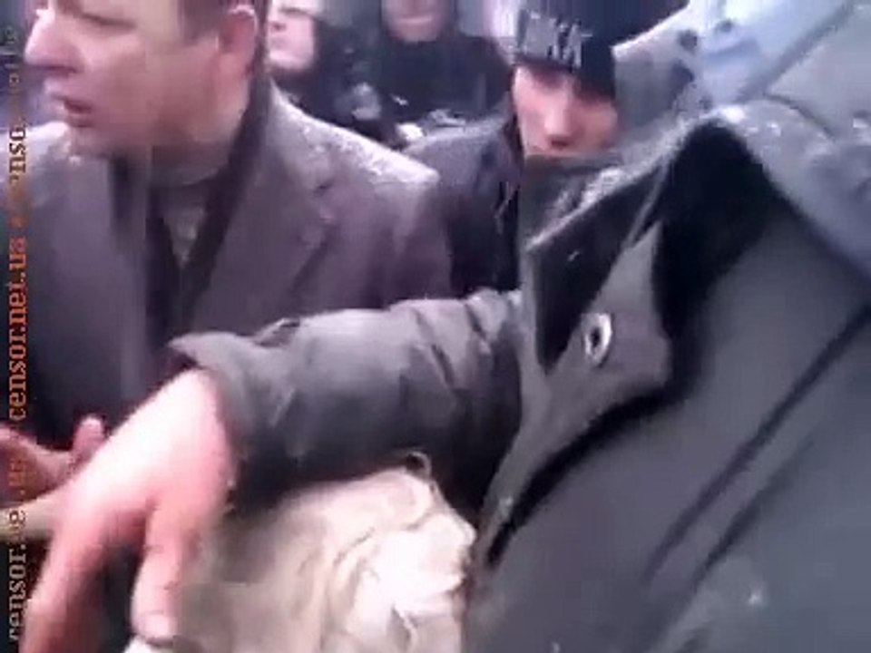 Корова идет в гости к депутатам