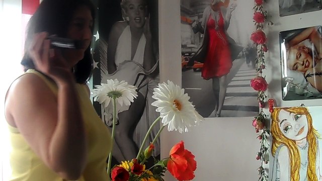 laurent voulzy le paradoxal systeme .