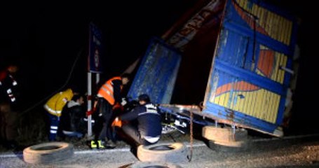 Muğla'da Elektrik Direğine Çarpan Kamyon Kanala Devrildi