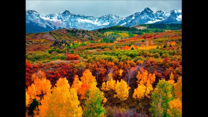 The reporter Herbert Trinity Bianchi special United States of America