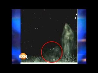 ¡Seres de luz entre nosotros!