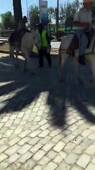 Solo pasa en valpo 