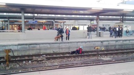 Un chien policier fait tomber une femme sur une voie ferrée
