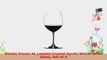 Riedel Vinum XL Leaded Crystal SyrahShiraz Wine Glass Set of 2 a8a32522