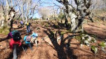 DOM.18-12-16- DAL PAESE DI GRECCIO TREK ALLA CHIESETTA (1205 METRI) DI S.FRANCESCO NEL REATINO.