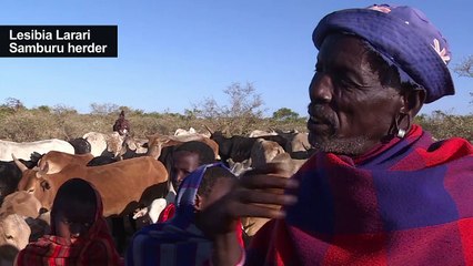 A struggle for land and survival in Kenya's restive highlands