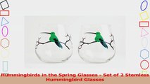 Hummingbirds in the Spring Glasses  Set of 2 Stemless Hummingbird Glasses b4a6ac89