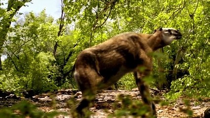 Caminando Entre las Bestias Cap. 3 Pequueño Gigante