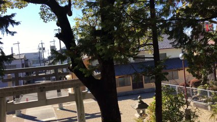 Templo budista de Moryama