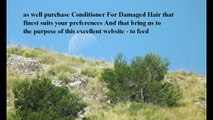 Best Conditioner For Damaged Hair reviews