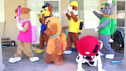 Baby Princess Rapunzel Eats Minnie Mouse! w/ Joker, Spiderman & Paw Patrol Chase in Real Life
