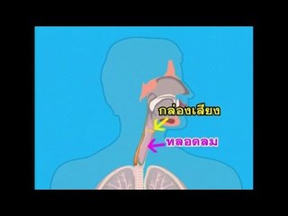 ชิดหมอ ..( Ep.17 ).. ตอน "เส้นเสียงอักเสบ"