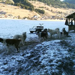 Video_2017  vacance montagne